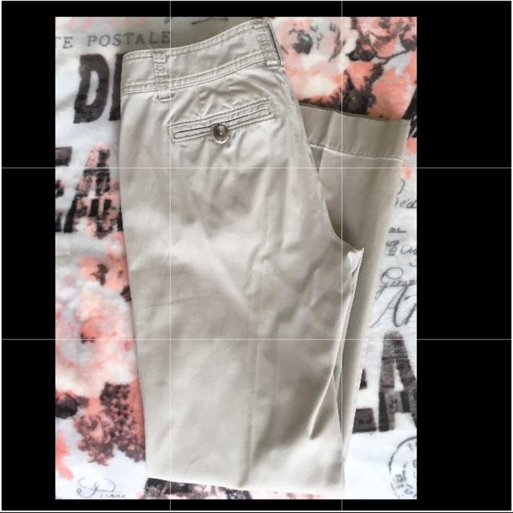 ANN TAYLOR Petite beige pants